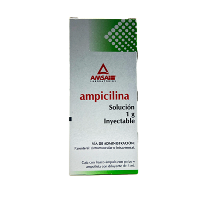 AMPICILINA SOL INY 1 G C/ 1 FRASCO AMP AMSA